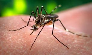 Zika warning for USA