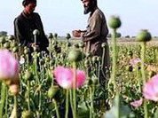 International bank system needs Afghan drugs to live
