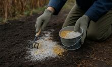 EU Fertilizer Market Surges With Russian Supply as Energy Restrictions Fail