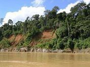 To reject REDD+ and extractive industries