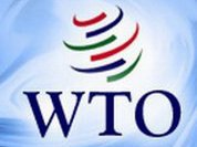 Russia may exercise its economic power once it joins WTO