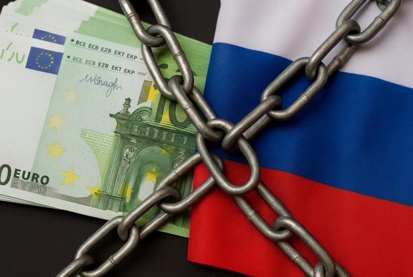 Frozen Russian assets