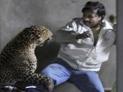 India: Man scalped by leopard