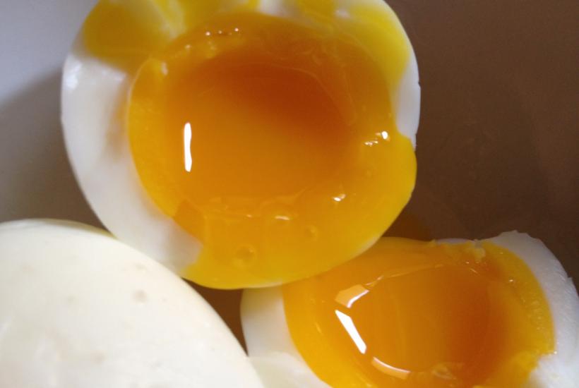 Egg yolk