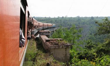 Scam Centers in Myanmar Hold Dozens of Russians Hostage