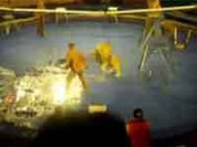 Lion attacks and mauls trainer during circus show in Ukraine