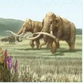 60,000-year-old mammoth bones uncovered in Russia