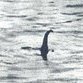 Loch Ness Monster is coming back?