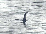 Loch Ness Monster is coming back?