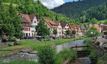 Germany Loses More Than 70 Percent of Its Exports to Russia