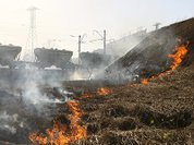 Spring grass burning is troubling Russia