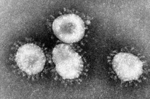 Coronavirus Outbreak, A Global Public Health Emergency?
