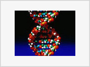 Evolutionists Wrong About "Junk DNA"