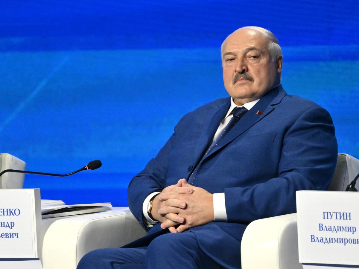 Lukashenko to Zelensky: 'Calm Down, There Is a Good Proposal on the Table'