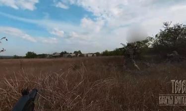 Founder of Pro-Russian 'Espanola' Brigade Killed in Sevastopol