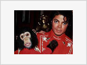 Michael Jackson’s Bubbles Probably Became World’s Richest Chimp