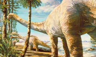 Previously unknown dinosaur species unearthed in Siberia