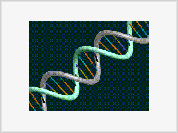 DNA: the God particle (part I)