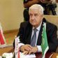 Foreign Minister says Syria rejects outside interference