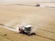 Climate-cooling policies threaten food supplies