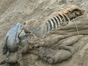 Boy finds well-preserved body of mammoth
