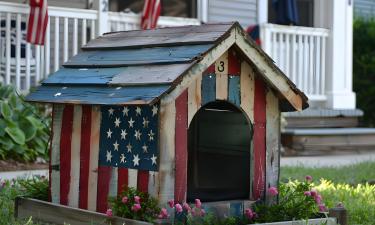 You're (Almost Certainly) Goin' to War, Sonny!