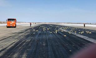 Russian plane carrying too much gold falls apart during takeoff scattering gold bars