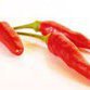 Peppers can help fight cancer