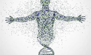 The Myth of the Gene: Genetics, Epigenetics and the Organism-Environment Loop