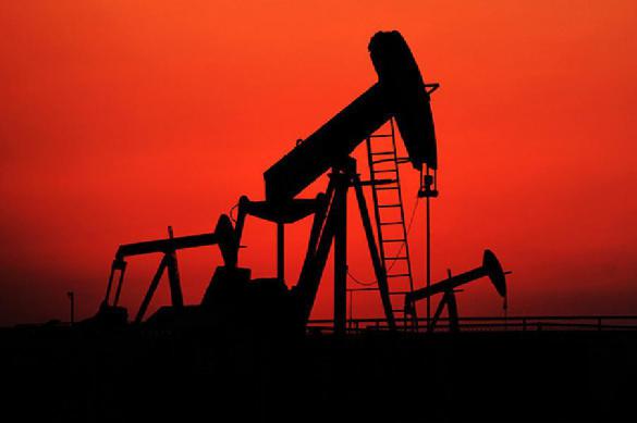 Oil crisis 2020: The war has begun