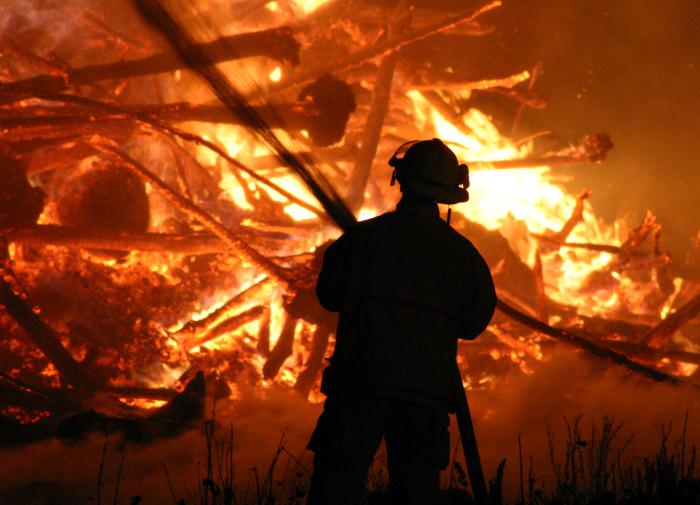 بیش از 200 گونه جانوری نادر در آتش سوزی در باغ وحش کریمه جان خود را از دست دادند