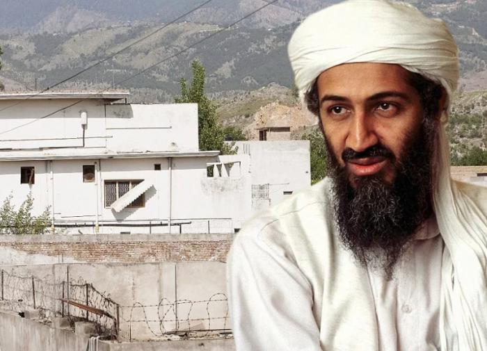Bin Laden's plans after September 11 attacks revealed