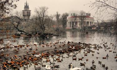 Moscow Zoo Launches Unique Restroom Complex with Games and Science Displays