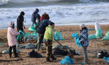 Fuel oil kills all living creatures in Black Sea's Kerch Strait