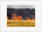 Wildfires and Russian Bureaucracy: Perfect Combination