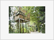 Russian man orders 100,000-dollar worth tree house for his son