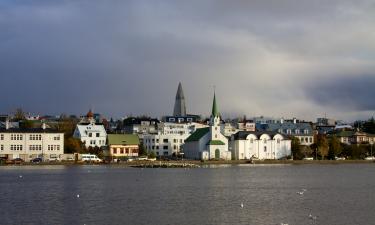 Iceland Reconsiders EU Membership Not to Become Part of Trumpland