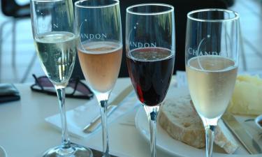 How Fermented Products Support Gut Health and Alcohol Recovery