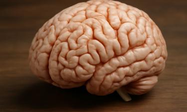 Covid-19’s Hidden Legacy: Accelerated Brain Aging in Everyone