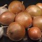 Bitter benefits of garlic and onion