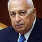 Israel prepares for new era as Ariel Sharon clings to life