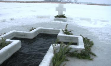 Putin Marks Orthodox Epiphany with Traditional Ice Bath