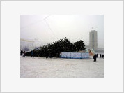 Russia's Most Expensive Christmas Tree Falls Down