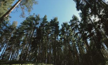 20-Year-Old Russian Found Dead in Turkey with Quran Verse and Sealed Mouth