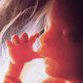 Chinese officials deliberately kill millions of unborn babies