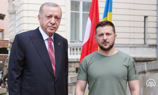 Erdogan urges Zelensky to diplomacy under any circumstances