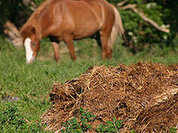 Village man builds symbol of 2014 from manure