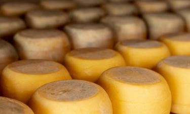 Why Cheese Has Captivated the World for Thousands of Years