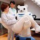 Japanese robotic bear to assist in suicide