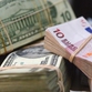 Successful development of American economy spurs dollar growth against euro